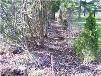 Fence Gallery Photo - Minimum Clearing Job Clearance.jpg
